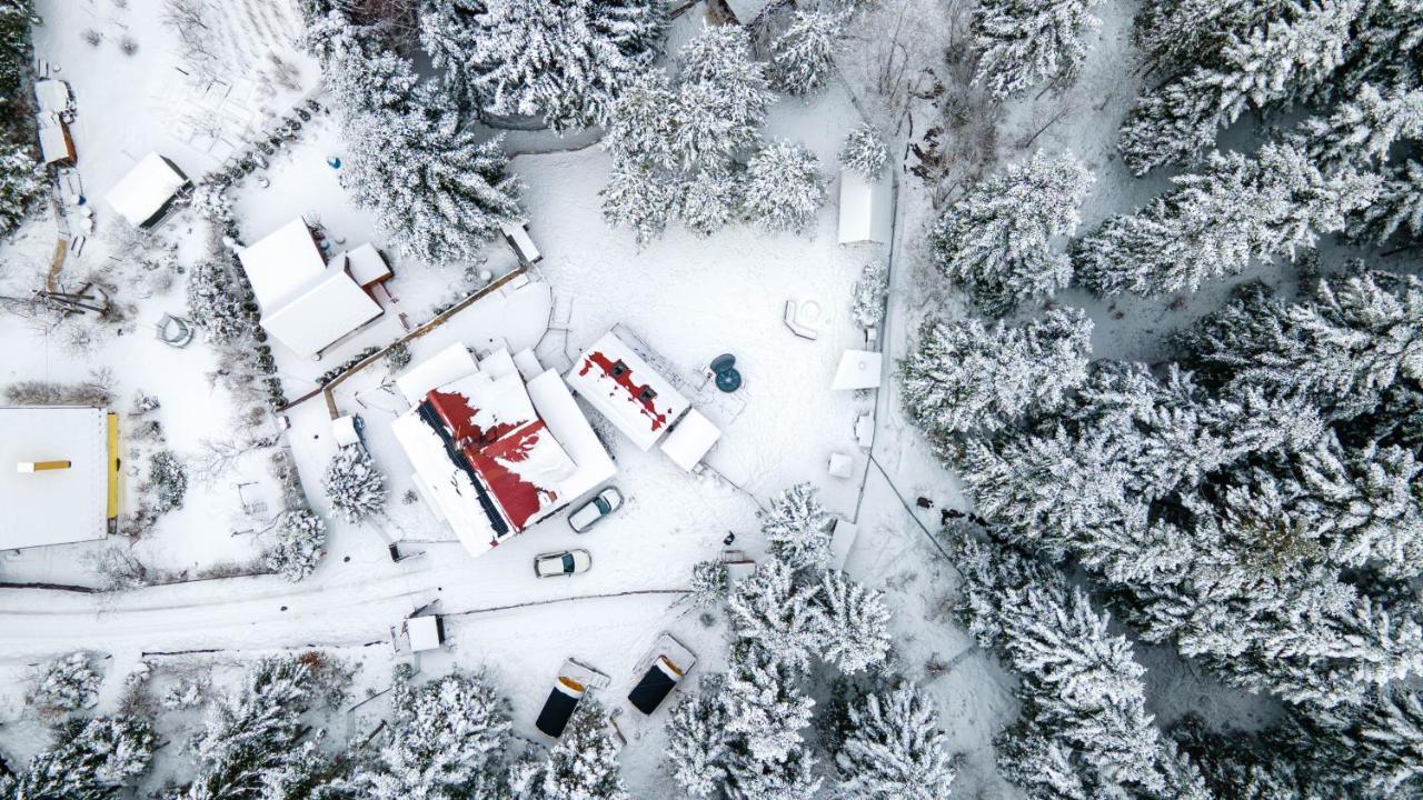 Beczki Pod Lasem Trzemesnia Buitenkant foto