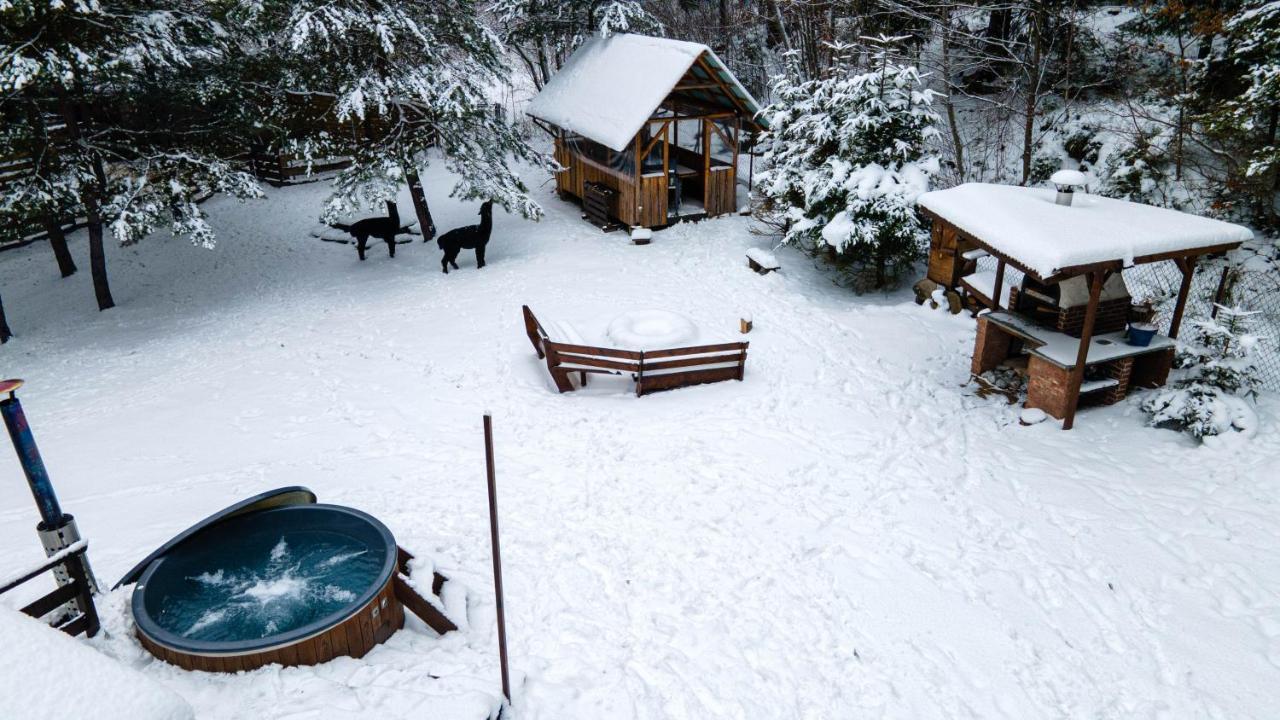 Beczki Pod Lasem Trzemesnia Buitenkant foto